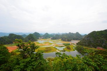 【招标】中国移动云南文山户外媒介项目竞争性谈判采购公