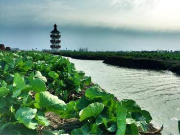 【招标】南通路墙体LED显示屏广告设施使用权转让
