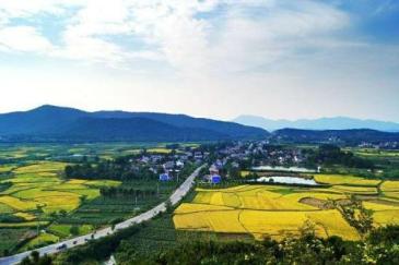 【招标】望江县2020年城区户外广告位使用权交易公告