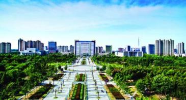 【招标】沭阳民生城市公交车车身广告经营权公开转让