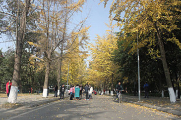 南京将新建10余条公园绿道 快来看经过你家门口吗