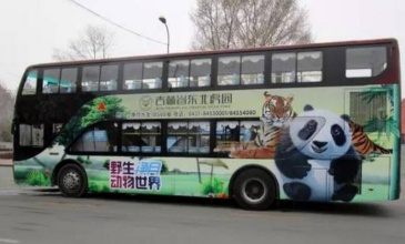 【招标】中国邮政衡水分行衡运线路公交车广告发布