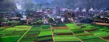 起拍价29.9亿！东莞凤岗土拍史上最大地块