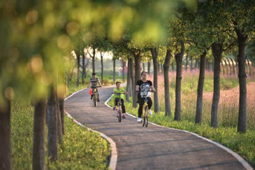 嘉兴今年将新建近36公里绿道