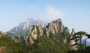 【招标】三清山风景名胜区旅游局上饶机场灯箱广告投放