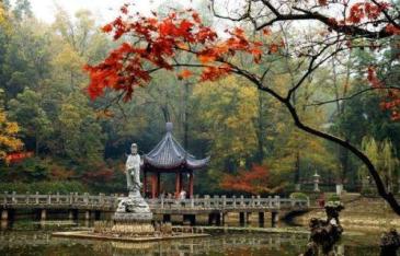 【招标】南京市栖霞区十五块看板广告牌使用权出让