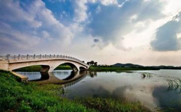 【招标】南京市栖霞区墙体灯箱户外广告使用权出让