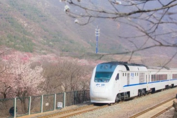 应对暑运高峰 沈至大连等增开3对动车