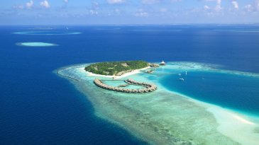 【招标】河南移动洛阳分公司地市级交通工具类媒体采购