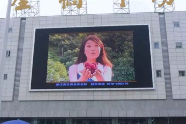 【招标】四姑娘山景区管理局LED大屏广告宣传项目