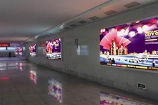 【招标】长沙地下人行通道灯箱广告经营权