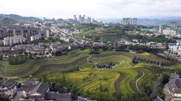 【招标】中国电信毕节公司高速媒体广告投放服务
