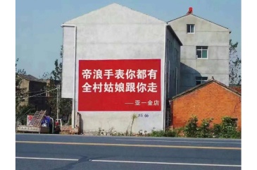 【招标】苏宁易购2019年吉林省乡镇墙体广告项目