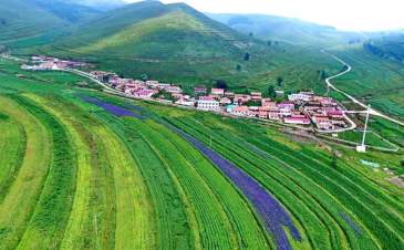 大悦城控股进驻张家口，8.73亿拿下开发区三宗地块