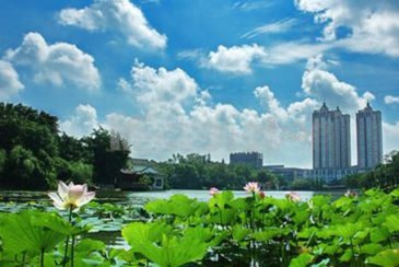 江门超额完成创森半年建设任务 新建10个森林公园