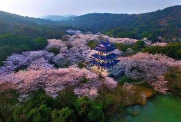 【招标】商管集团无锡区域公司LED大屏广告位