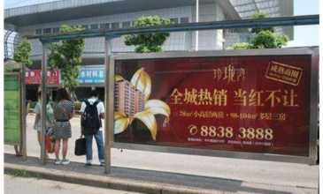 【招标】黄梅县城区公交候车亭广告位经营权招租