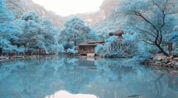 【招标】2021年酉阳分公司乡镇墙体广告位租赁项目