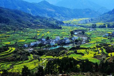【招标】中国电信江西公司2022-2024小区路灯灯箱广告发布