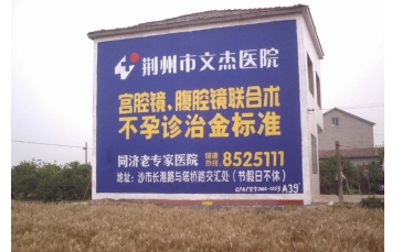 【招标】陕西移动延安市11县2区墙体广告喷绘发布
