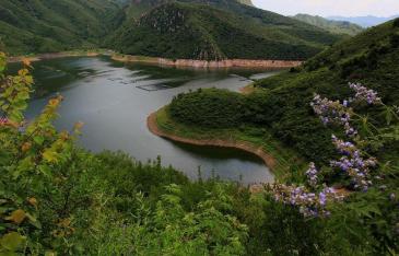 【招标】中国移动山西大同公司社区类广告媒介采购