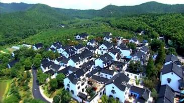 【招标】张桥村高炮广告出租